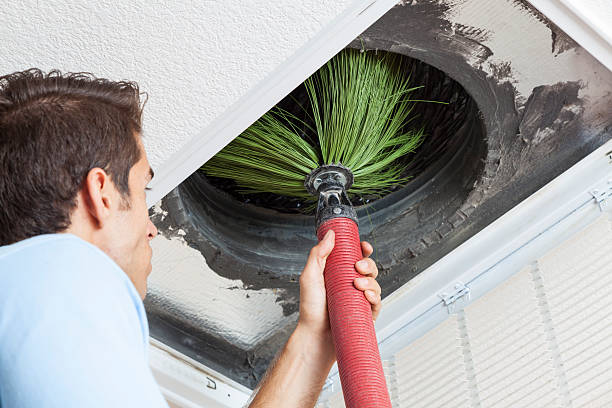 Best Dryer Vent Cleaning Services  in Hays, NC